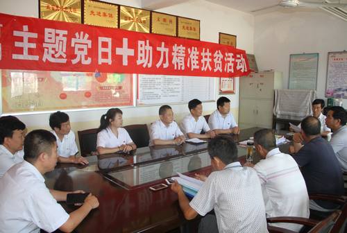 銅煤公司開展“主題黨日+助力精準(zhǔn)扶貧”活動