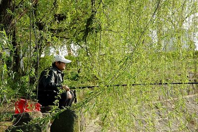 春天，一個多么富有詩意的名字??！