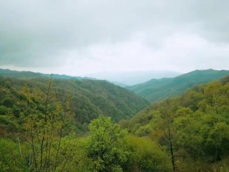 一個(gè)人的旅行----神道嶺寄語(yǔ)