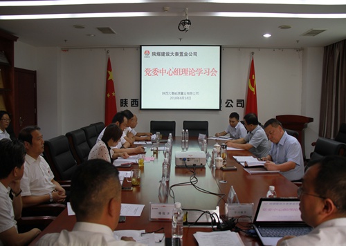 寧興剛旁聽督導大秦置業(yè)公司黨委中心組理論學習