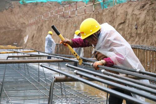 雨天里，“小蜜蜂們”在“筑巢”