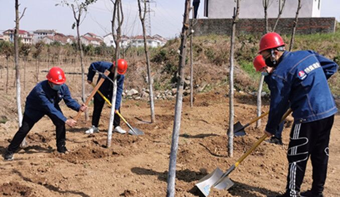 今天你植樹(shù)了嗎？