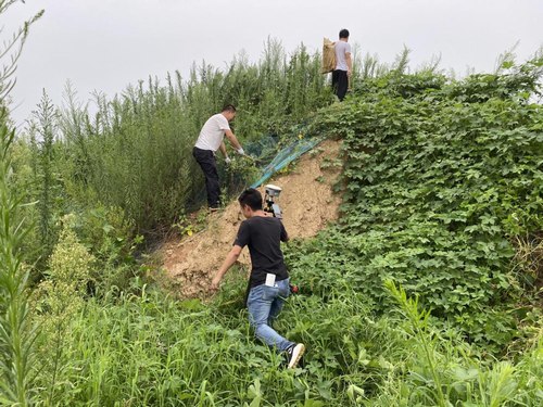 他們是最可愛的人