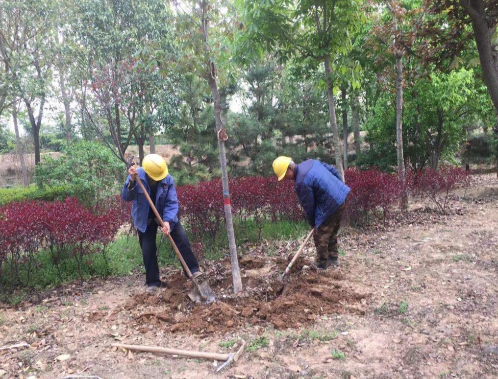 陜煤建設(shè)綠宇公司：口碑無止境  用心筑未來
