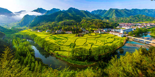 回鄉(xiāng)有感