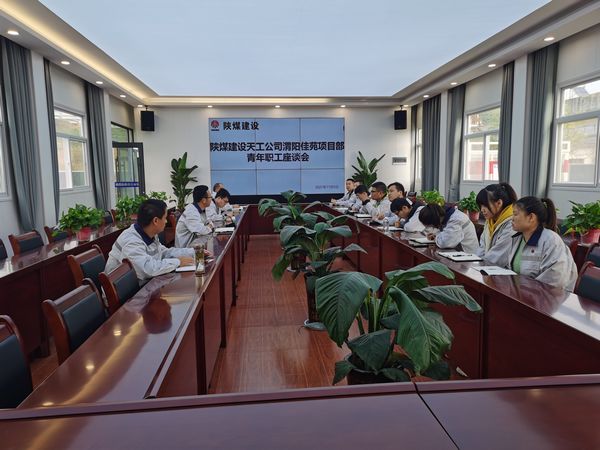 陜煤建設(shè)天工公司渭陽(yáng)佳苑項(xiàng)目部召開“學(xué)習(xí)本領(lǐng)+錘煉品德”專題青工座談會(huì)
