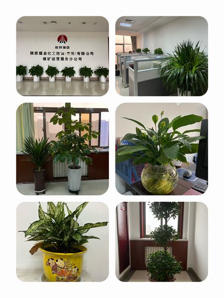 陜煤建設(shè)煤礦運營服務公司：職工之事無小事