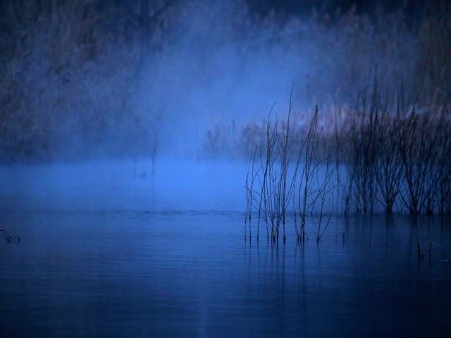 “冬月”你好！