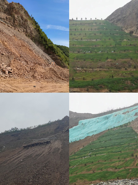 渣山變綠林，碎石堆場批“綠裝”