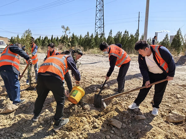 陜煤建設(shè)漢中分公司：不負(fù)春光 “植”此新綠