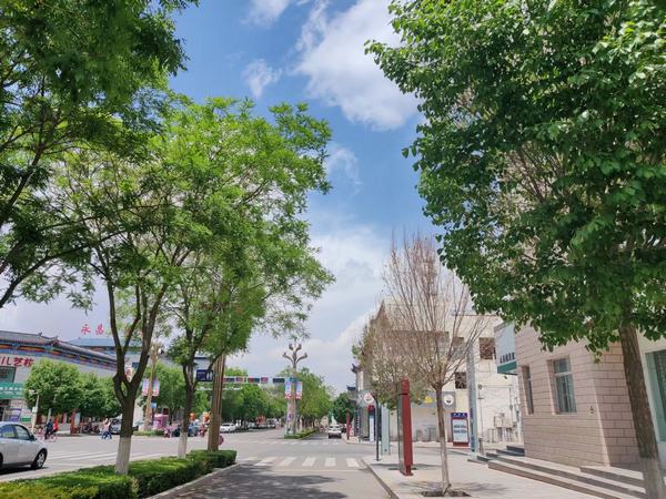 青春，慢點走