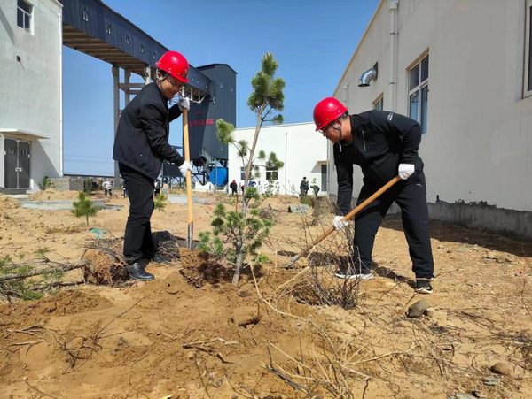 陜煤建設路橋分公司榆陽煤炭物流園區(qū)項目部春風化雨植樹忙