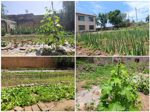 陜煤建設礦建三公司：項目部里的“開心農(nóng)場”