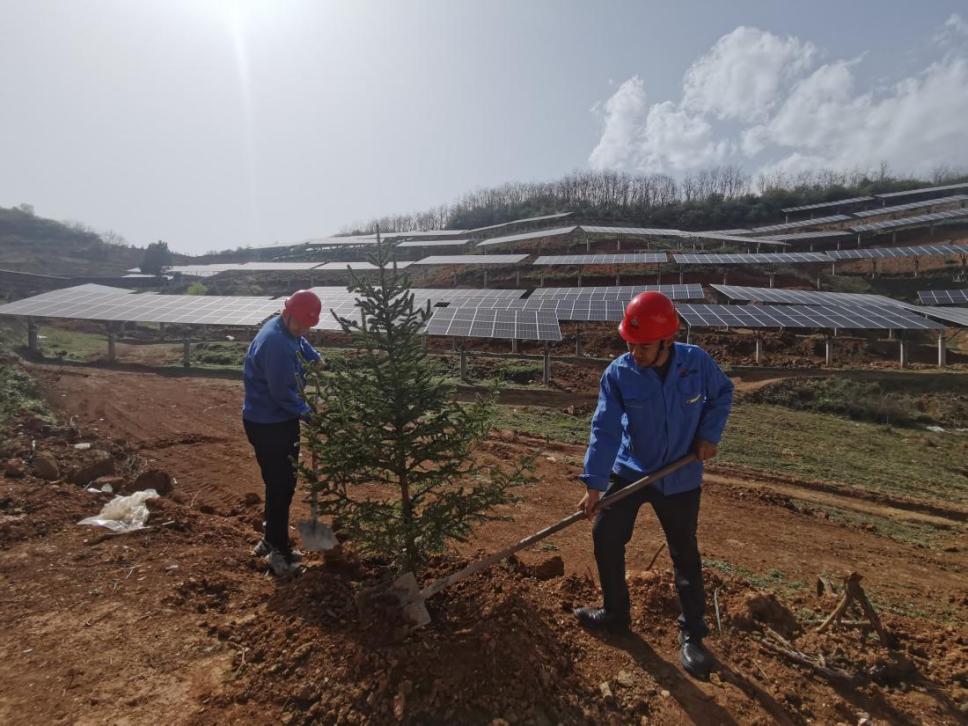 陜煤建設(shè)西北分公司機(jī)電安裝項(xiàng)目部： 全員參與，共筑綠色屏障