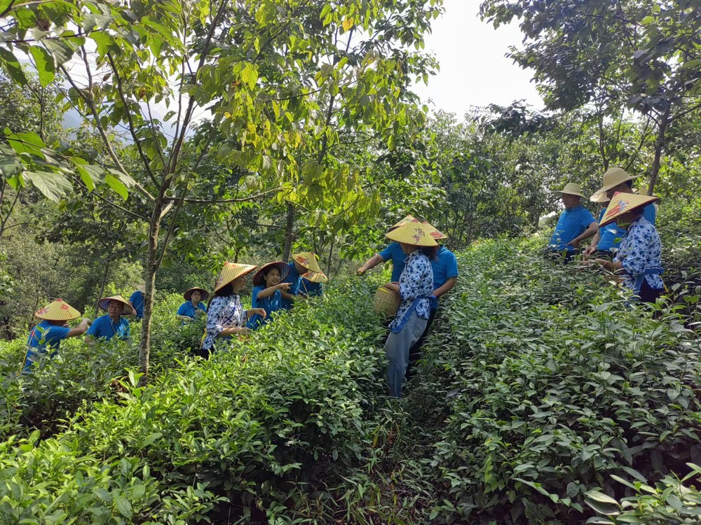 陜煤建設煤礦運營服務分公司：赴天池村開展主題黨日活動