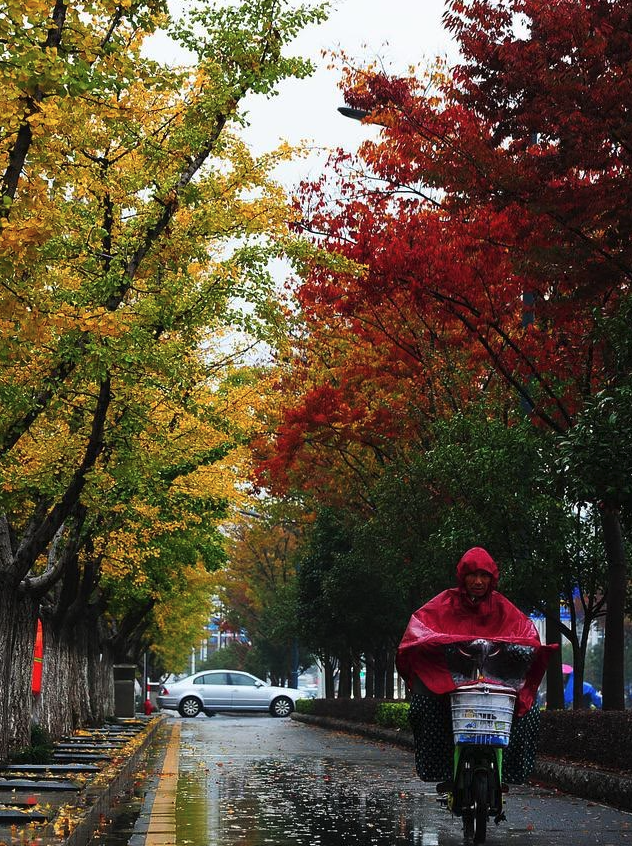 秋雨綿綿